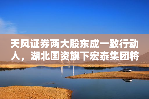 天风证券两大股东成一致行动人，湖北国资旗下宏泰集团将成控股股东