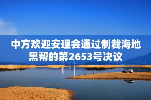 中方欢迎安理会通过制裁海地黑帮的第2653号决议