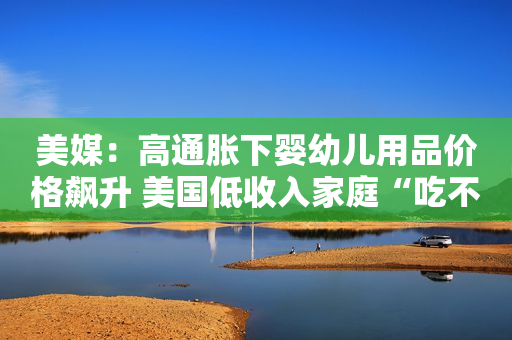美媒：高通胀下婴幼儿用品价格飙升 美国低收入家庭“吃不消”