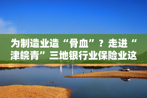 为制造业造“骨血”？走进“津皖青”三地银行业保险业这十年