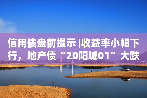 信用债盘前提示 |收益率小幅下行，地产债“20阳城01”大跌逾92%，收盘价跌至不足2元