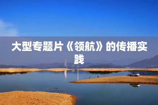大型专题片《领航》的传播实践