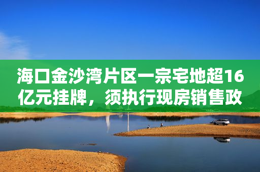 海口金沙湾片区一宗宅地超16亿元挂牌，须执行现房销售政策