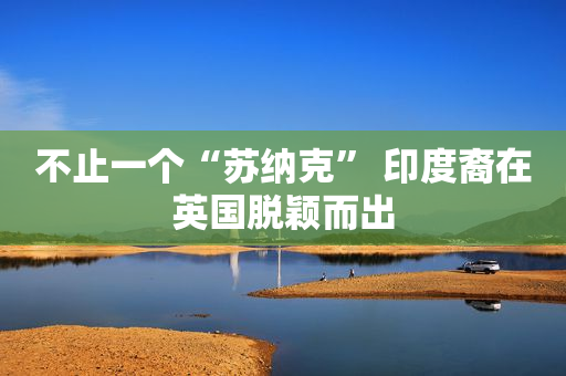 不止一个“苏纳克” 印度裔在英国脱颖而出