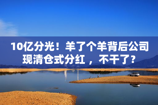 10亿分光！羊了个羊背后公司现清仓式分红 ，不干了？