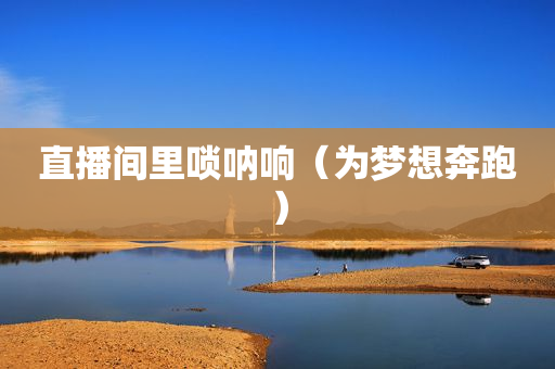 直播间里唢呐响（为梦想奔跑）