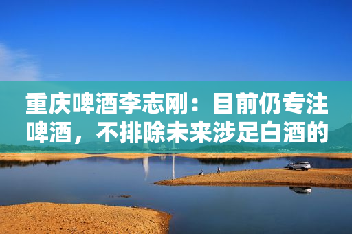 重庆啤酒李志刚：目前仍专注啤酒，不排除未来涉足白酒的可能