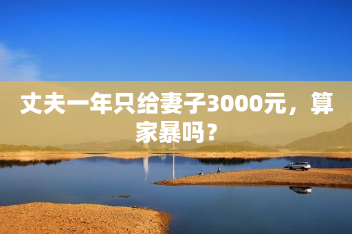 丈夫一年只给妻子3000元，算家暴吗？