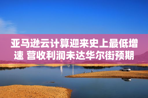 亚马逊云计算迎来史上最低增速 营收利润未达华尔街预期