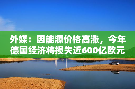 外媒：因能源价格高涨，今年德国经济将损失近600亿欧元
