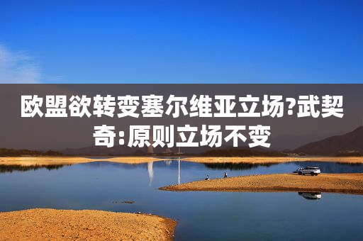 欧盟欲转变塞尔维亚立场?武契奇:原则立场不变