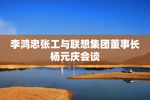 李鸿忠张工与联想集团董事长杨元庆会谈
