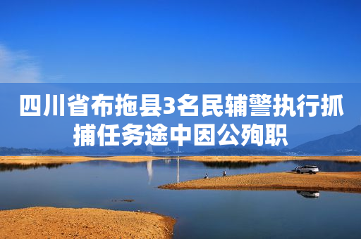 四川省布拖县3名民辅警执行抓捕任务途中因公殉职