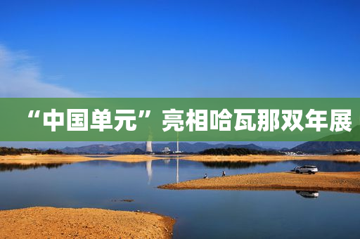 “中国单元”亮相哈瓦那双年展