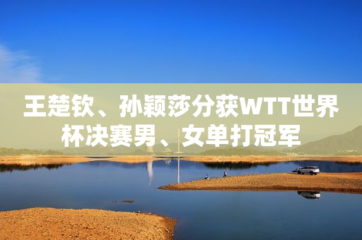 王楚钦、孙颖莎分获WTT世界杯决赛男、女单打冠军