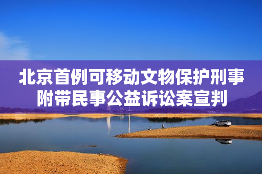 北京首例可移动文物保护刑事附带民事公益诉讼案宣判