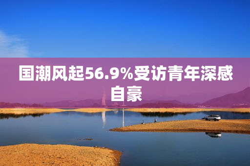国潮风起56.9%受访青年深感自豪