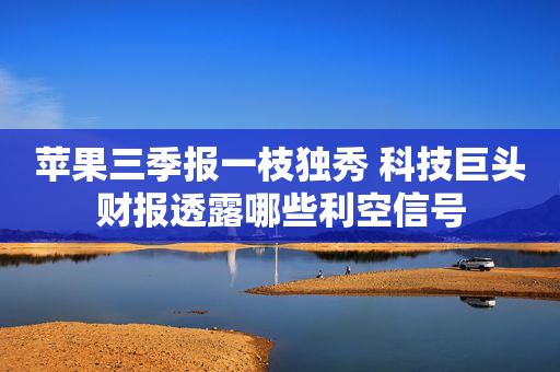 苹果三季报一枝独秀 科技巨头财报透露哪些利空信号