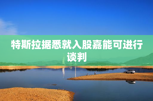 特斯拉据悉就入股嘉能可进行谈判