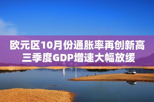 欧元区10月份通胀率再创新高 三季度GDP增速大幅放缓