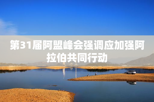 第31届阿盟峰会强调应加强阿拉伯共同行动