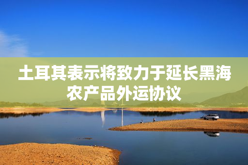 土耳其表示将致力于延长黑海农产品外运协议