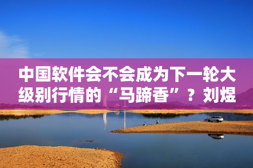 中国软件会不会成为下一轮大级别行情的“马蹄香”？刘煜辉：我非常期待