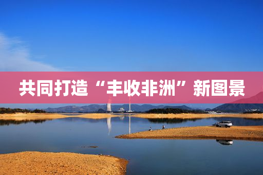 共同打造“丰收非洲”新图景