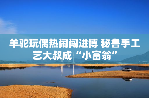 羊驼玩偶热闹闯进博 秘鲁手工艺大叔成“小富翁”