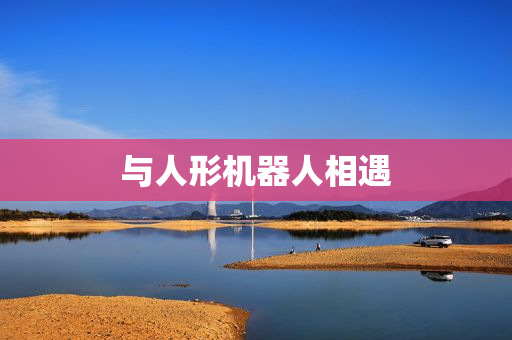与人形机器人相遇