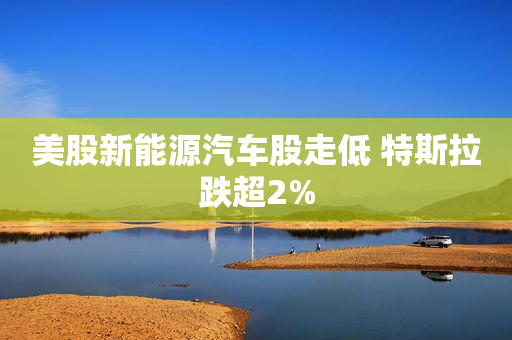美股新能源汽车股走低 特斯拉跌超2%