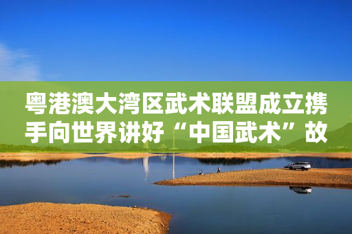 粤港澳大湾区武术联盟成立携手向世界讲好“中国武术”故事