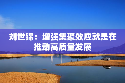 刘世锦：增强集聚效应就是在推动高质量发展