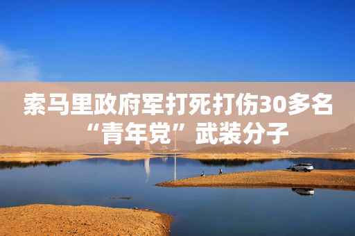 索马里政府军打死打伤30多名“青年党”武装分子