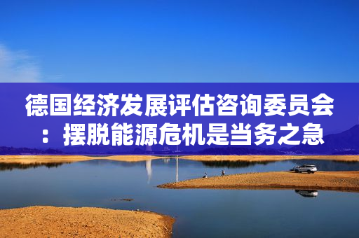 德国经济发展评估咨询委员会：摆脱能源危机是当务之急
