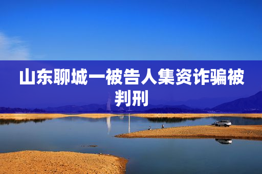 山东聊城一被告人集资诈骗被判刑