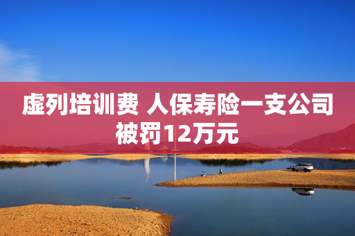 虚列培训费 人保寿险一支公司被罚12万元
