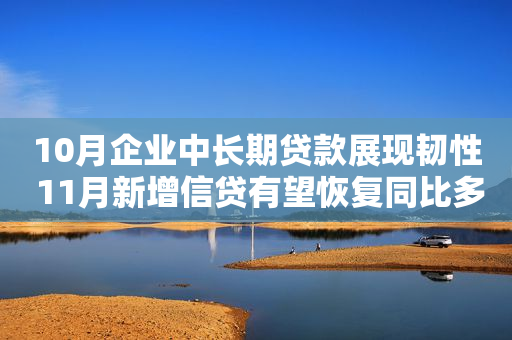 10月企业中长期贷款展现韧性 11月新增信贷有望恢复同比多增