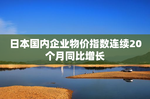 日本国内企业物价指数连续20个月同比增长