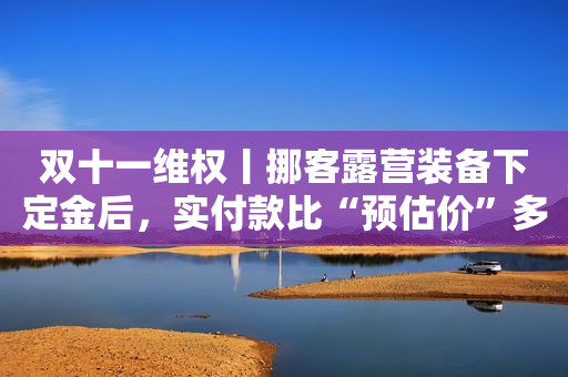 双十一维权丨挪客露营装备下定金后，实付款比“预估价”多了近200元