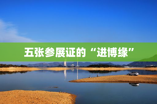 五张参展证的“进博缘”