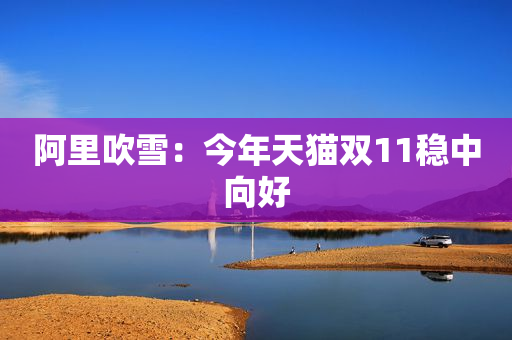阿里吹雪：今年天猫双11稳中向好