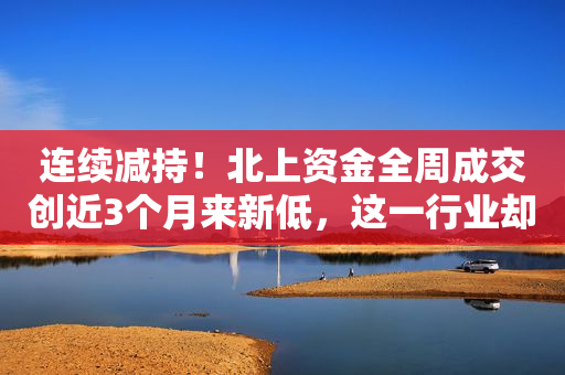 连续减持！北上资金全周成交创近3个月来新低，这一行业却被逆势追捧