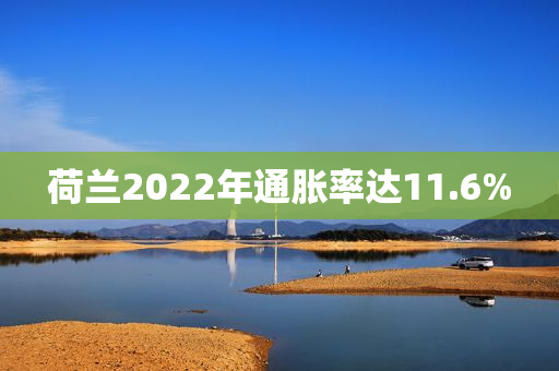 荷兰2022年通胀率达11.6%