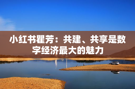 小红书瞿芳：共建、共享是数字经济最大的魅力