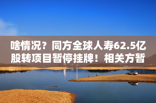 啥情况？同方全球人寿62.5亿股转项目暂停挂牌！相关方暂未对摘牌达成一致