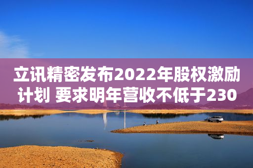 立讯精密发布2022年股权激励计划 要求明年营收不低于2300亿元