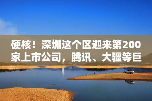 硬核！深圳这个区迎来第200家上市公司，腾讯、大疆等巨头扎堆于此…何以创造神话？