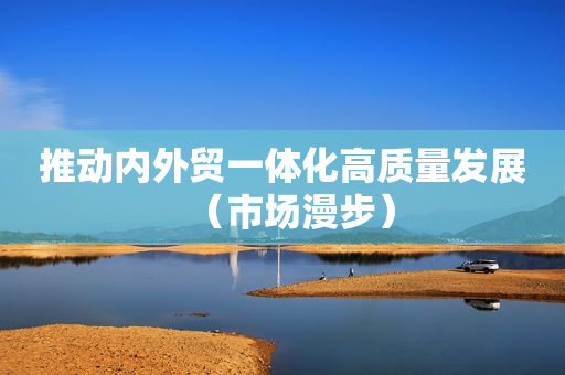 推动内外贸一体化高质量发展（市场漫步）