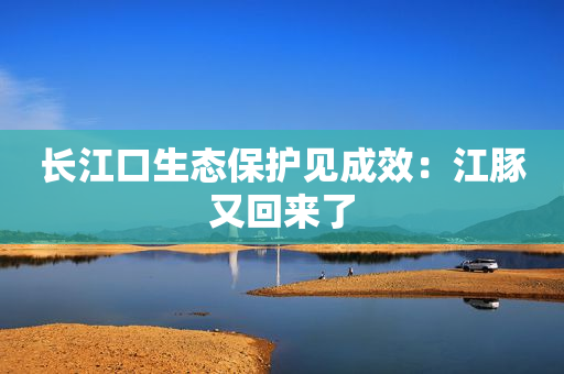 长江口生态保护见成效：江豚又回来了